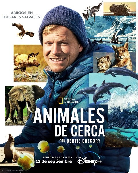 «ANIMALES  DE CERCA CON BERTIE GREGORY POR DISNEY +