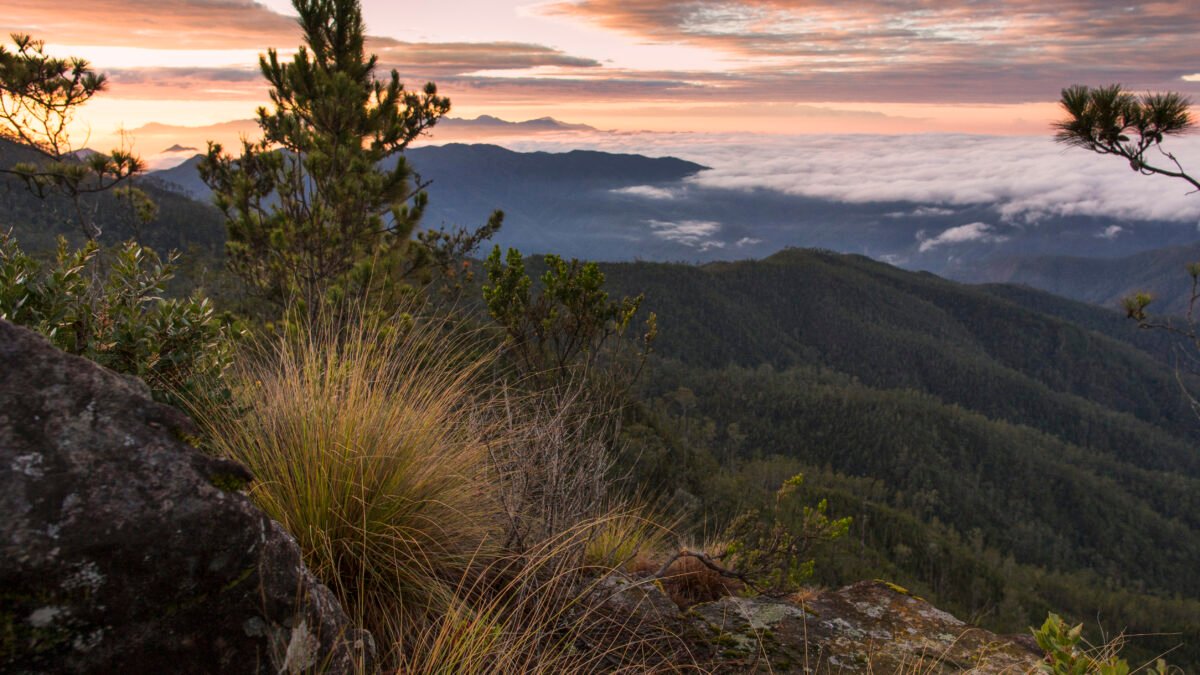 REPÚBLICA DOMINICANA APUESTA AL TURISMO DE AVENTURA CON EL PICO DUARTE LA MONTAÑA MÁS ALTA DE LAS ANTILLAS