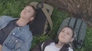 AMOR ANIMAL POR PRIME