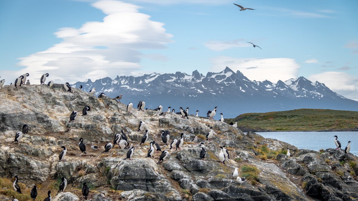 DÍA INTERNACIONAL DE LA MADRE TIERRA 2026: LAS MARAVILLAS NATURALES GUIARÁN LOS PLANES DE VIAJE DEL 60% DE LOS VIAJEROS ESTE AÑO