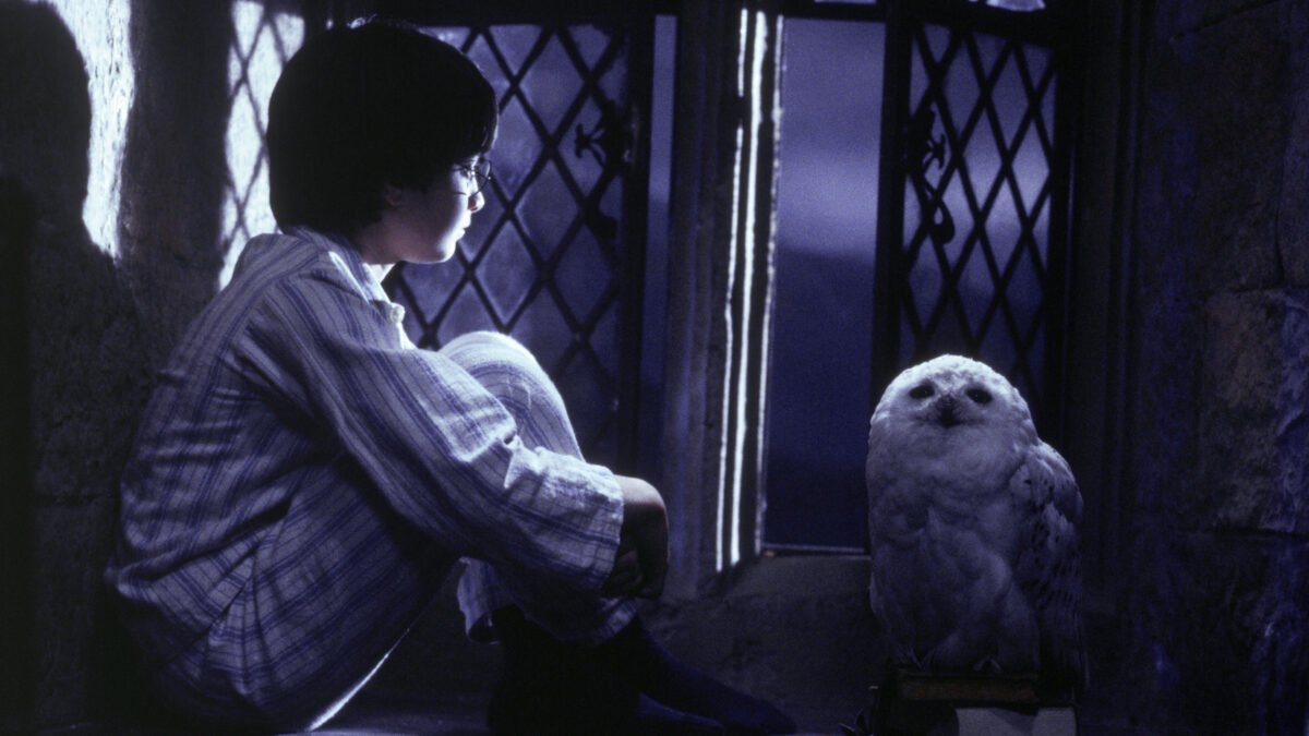 HARRY POTTER  EN LOS CINEMARK