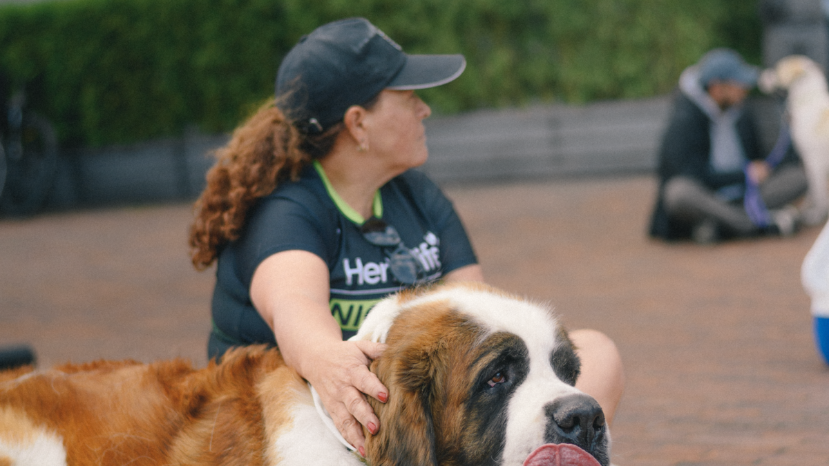 PAW RUN FEST: LLEGA A BOGOTÁ LA CARRERA DONDE HUMANOS Y PELUDOS CORREN JUNTOS POR EL DEPORTE, EL BIENESTAR Y EL AMOR POR LOS ANIMALES