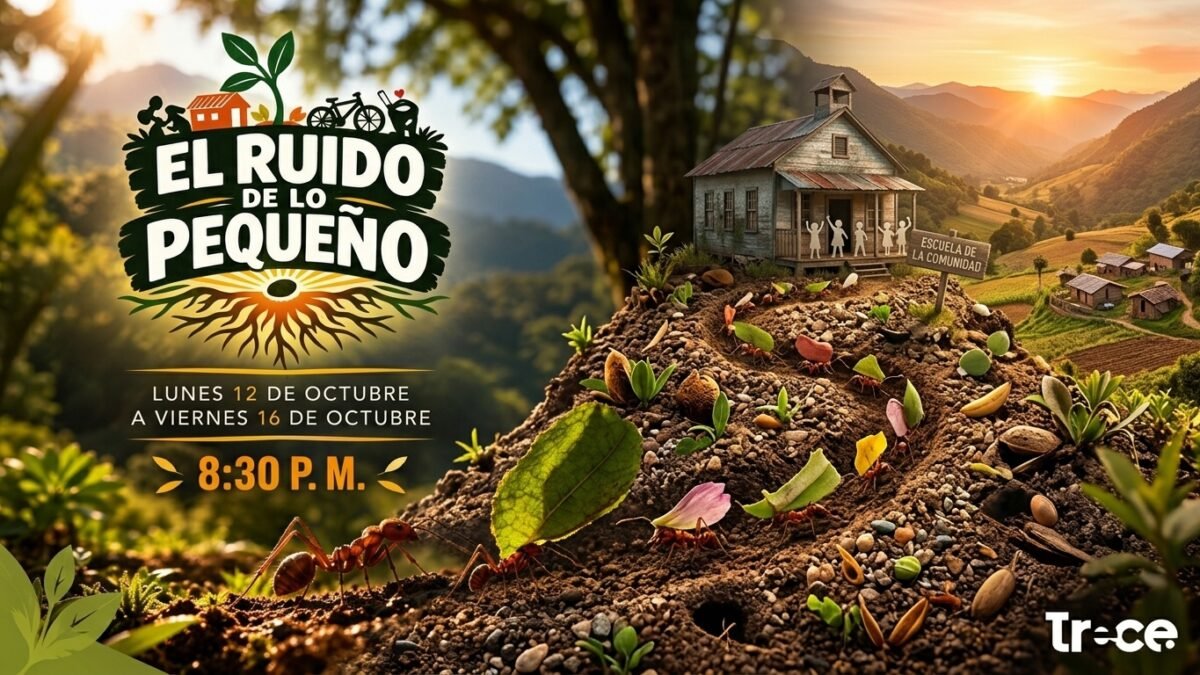  EL RUIDO DE LO PEQUEÑO EN CANAL TRECE